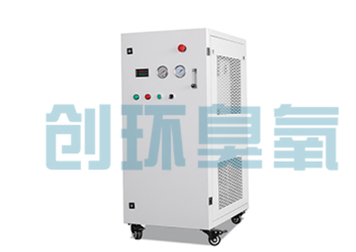 济宁石斑鱼养殖水质调控完整指南:臭氧发生器配置与操作步骤